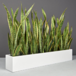 Narrow Recta Planter