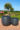 CDJyZ9s.jpg