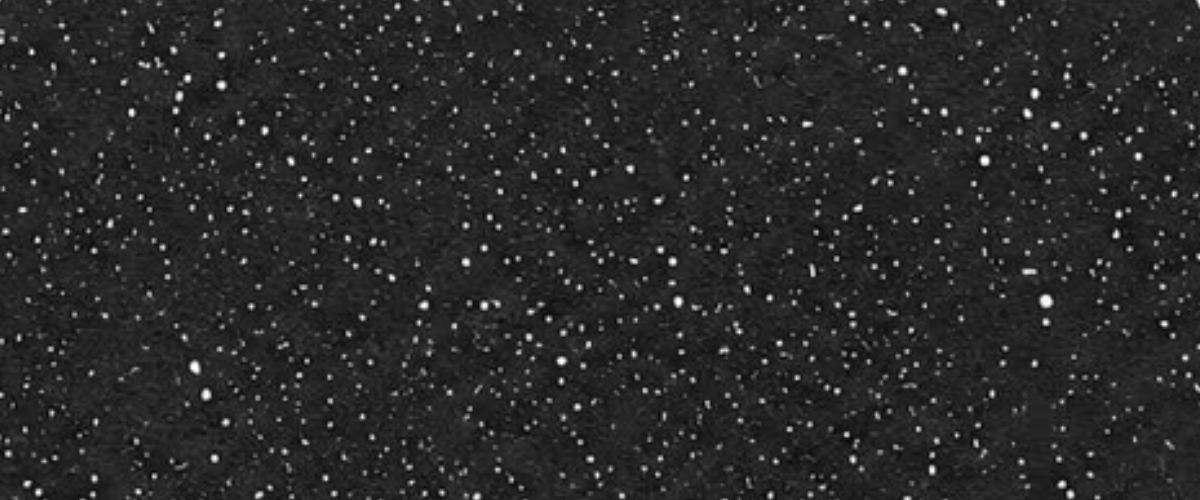 Black with White Dot